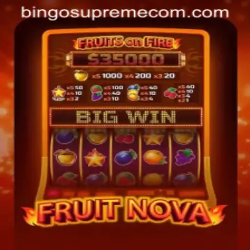 FruitNova: A Fresh Take on Bingo Supreme