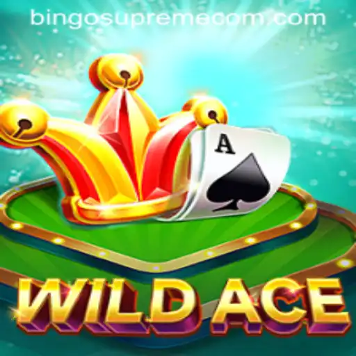 Exploring WildAce: The Thrilling World of Bingo Supreme